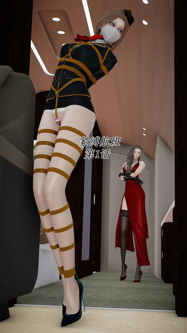 紧缚航班1预览图