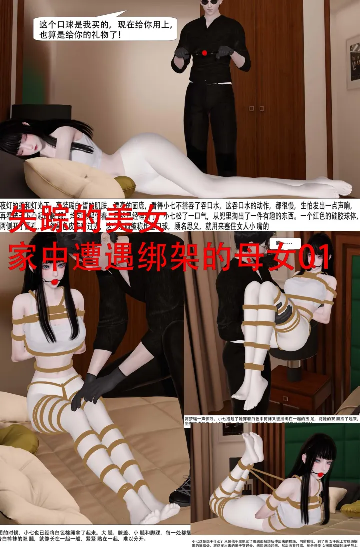 失踪的美女 家中遭遇绑架的母女 01-03合集预览图