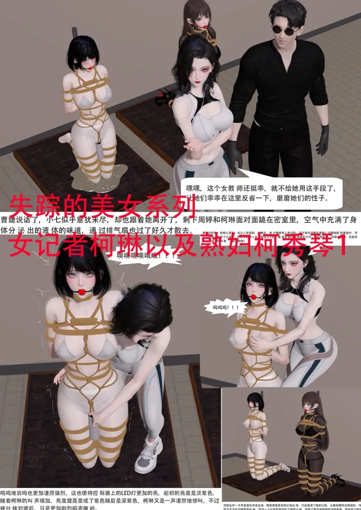 失踪的美女系列 女记者柯琳以及熟妇柯秀琴 1-4合集预览图