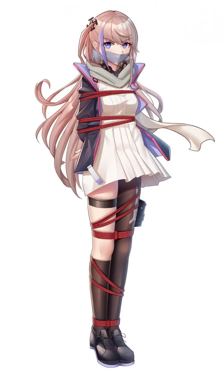 缚美鸿影封面