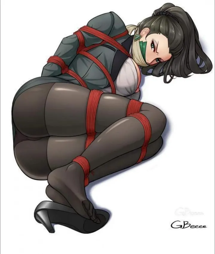 失踪的美女系列封面