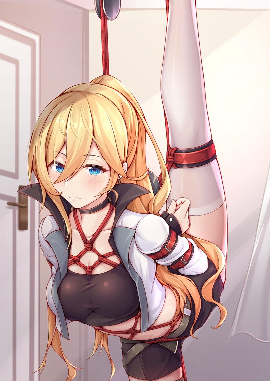 《警花少妇白艳妮》后传封面
