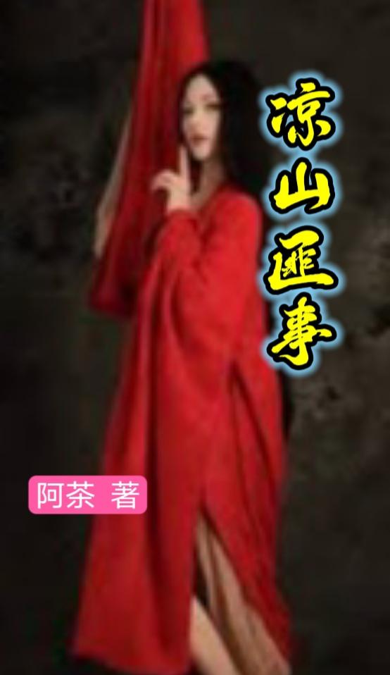凉山匪事封面