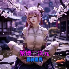 紧缚二次元之原神世界封面